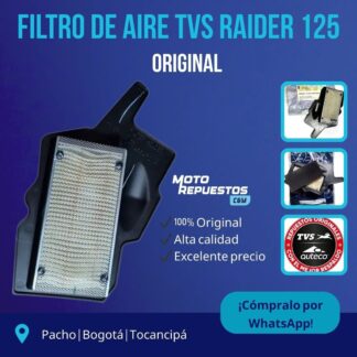 Filtro de Aire Original TVS Raider 125